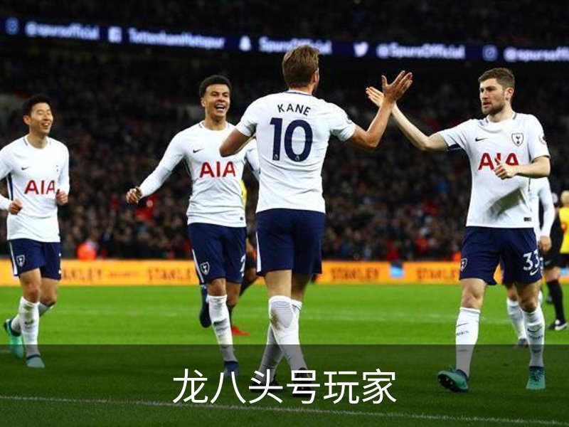 龙八头号玩家介绍